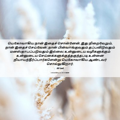 Picture 06 - எசேக்கியேல் 24:14 TAMIRV - யெகோவாகிய நான் - Bible Verse Picture