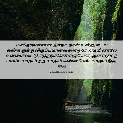 Picture 06 - எசேக்கியேல் 24:16 TAMIRV - மனிதகுமாரனே, இதோ, - Bible Verse Picture