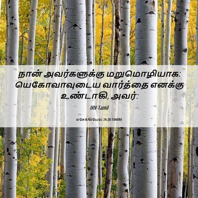 Picture 06 - எசேக்கியேல் 24:20 TAMIRV - நான் அவர்களுக்கு - Bible Verse Picture