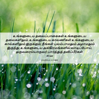 Picture 06 - எசேக்கியேல் 24:23 TAMIRV - உங்களுடைய - Bible Verse Picture