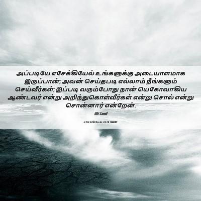 Picture 06 - எசேக்கியேல் 24:24 TAMIRV - அப்படியே - Bible Verse Picture