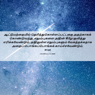 Picture 06 - எசேக்கியேல் 24:5 TAMIRV - ஆட்டுமந்தையில் - Bible Verse Picture