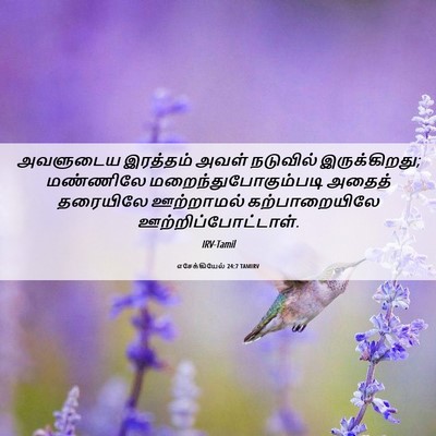 Picture 06 - எசேக்கியேல் 24:7 TAMIRV - அவளுடைய இரத்தம் - Bible Verse Picture