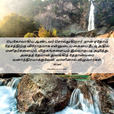 Picture 06 - எசேக்கியேல் 25:13 TAMIRV - யெகோவாகிய ஆண்டவர் - Bible Verse Picture