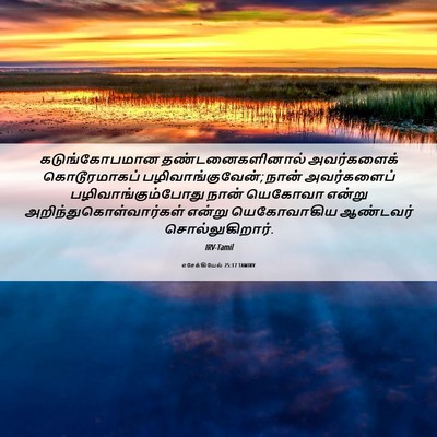 Picture 06 - எசேக்கியேல் 25:17 TAMIRV - கடுங்கோபமான - Bible Verse Picture