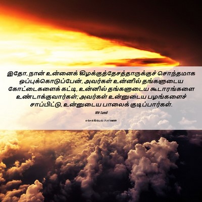 Picture 06 - எசேக்கியேல் 25:4 TAMIRV - இதோ, நான் உன்னைக் - Bible Verse Picture