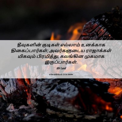 Picture 06 - எசேக்கியேல் 27:35 TAMIRV - தீவுகளின் குடிகள் - Bible Verse Picture
