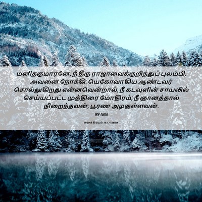 Picture 06 - எசேக்கியேல் 28:12 TAMIRV - மனிதகுமாரனே, நீ - Bible Verse Picture