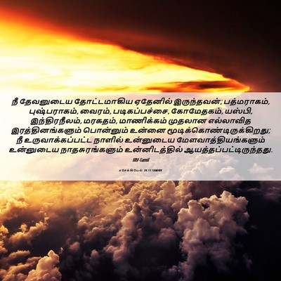 Picture 06 - எசேக்கியேல் 28:13 TAMIRV - நீ தேவனுடைய - Bible Verse Picture