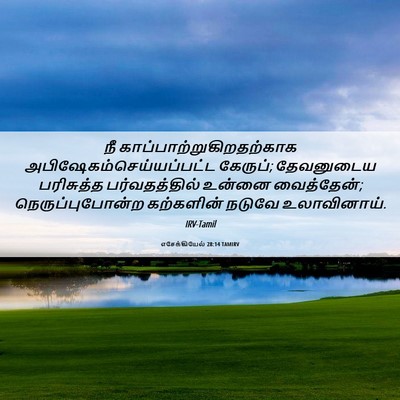Picture 06 - எசேக்கியேல் 28:14 TAMIRV - நீ - Bible Verse Picture