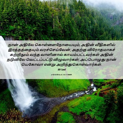 Picture 06 - எசேக்கியேல் 28:23 TAMIRV - நான் அதிலே - Bible Verse Picture