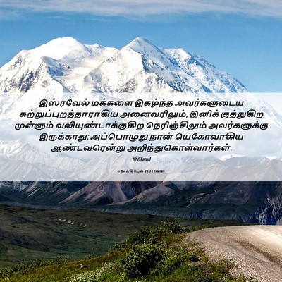 Picture 06 - எசேக்கியேல் 28:24 TAMIRV - இஸ்ரவேல் மக்களை - Bible Verse Picture