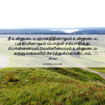 Picture 06 - எசேக்கியேல் 28:4 TAMIRV - நீ உன்னுடைய - Bible Verse Picture