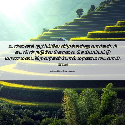 Picture 06 - எசேக்கியேல் 28:8 TAMIRV - உன்னைக் குழியிலே - Bible Verse Picture