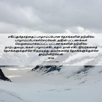 Picture 06 - எசேக்கியேல் 29:12 TAMIRV - எகிப்துதேசத்தைப் - Bible Verse Picture