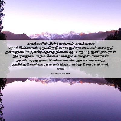 Picture 06 - எசேக்கியேல் 29:16 TAMIRV - அவர்களின் - Bible Verse Picture