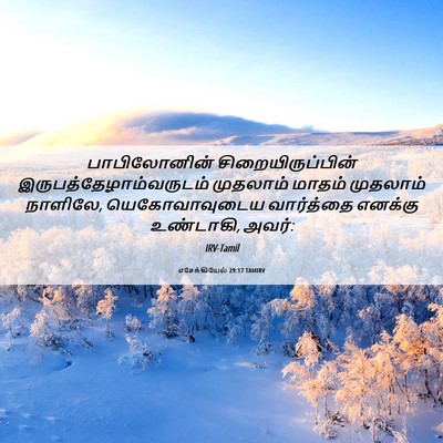 Picture 06 - எசேக்கியேல் 29:17 TAMIRV - பாபிலோனின் - Bible Verse Picture