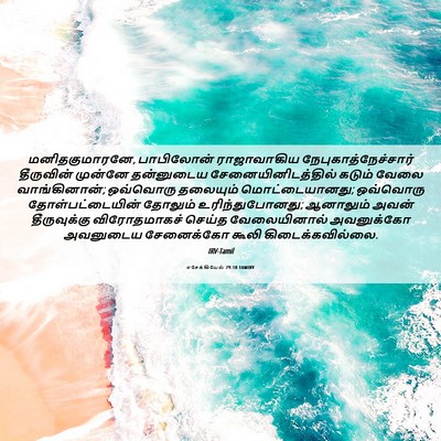 Picture 06 - எசேக்கியேல் 29:18 TAMIRV - மனிதகுமாரனே, - Bible Verse Picture