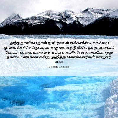 Picture 06 - எசேக்கியேல் 29:21 TAMIRV - அந்த நாளிலே நான் - Bible Verse Picture