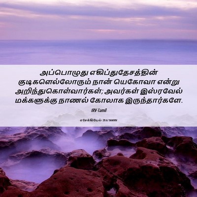 Picture 06 - எசேக்கியேல் 29:6 TAMIRV - அப்பொழுது - Bible Verse Picture