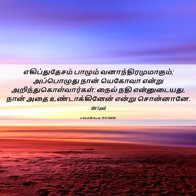 Picture 06 - எசேக்கியேல் 29:9 TAMIRV - எகிப்துதேசம் - Bible Verse Picture