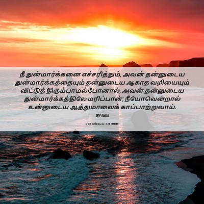 Picture 06 - எசேக்கியேல் 3:19 TAMIRV - நீ துன்மார்க்கனை - Bible Verse Picture