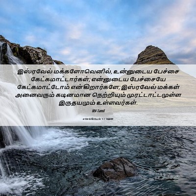 Picture 06 - எசேக்கியேல் 3:7 TAMIRV - இஸ்ரவேல் - Bible Verse Picture