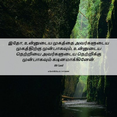 Picture 06 - எசேக்கியேல் 3:8 TAMIRV - இதோ, உன்னுடைய - Bible Verse Picture