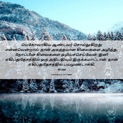 Picture 06 - எசேக்கியேல் 30:13 TAMIRV - யெகோவாகிய ஆண்டவர் - Bible Verse Picture