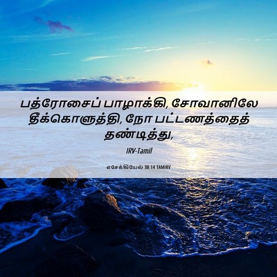 Picture 06 - எசேக்கியேல் 30:14 TAMIRV - பத்ரோசைப் - Bible Verse Picture