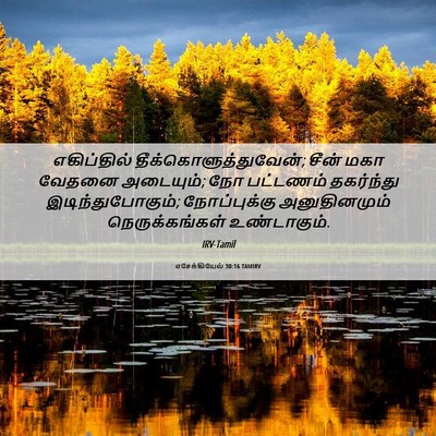 Picture 06 - எசேக்கியேல் 30:16 TAMIRV - எகிப்தில் - Bible Verse Picture