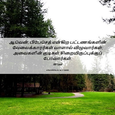 Picture 06 - எசேக்கியேல் 30:17 TAMIRV - ஆவென், பிபேசெத் - Bible Verse Picture