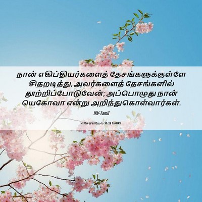 Picture 06 - எசேக்கியேல் 30:26 TAMIRV - நான் - Bible Verse Picture