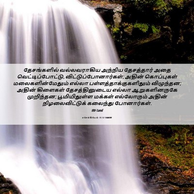Picture 06 - எசேக்கியேல் 31:12 TAMIRV - தேசங்களில் - Bible Verse Picture