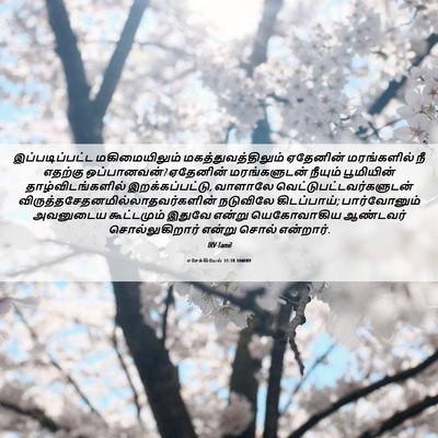 Picture 06 - எசேக்கியேல் 31:18 TAMIRV - இப்படிப்பட்ட - Bible Verse Picture