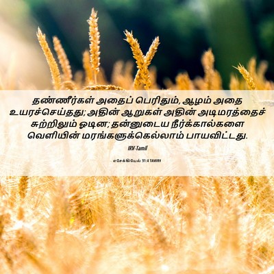 Picture 06 - எசேக்கியேல் 31:4 TAMIRV - தண்ணீர்கள் அதைப் - Bible Verse Picture