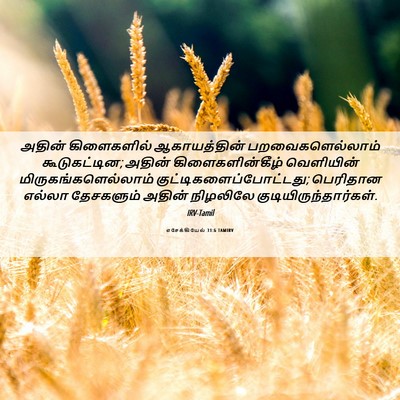 Picture 06 - எசேக்கியேல் 31:6 TAMIRV - அதின் கிளைகளில் - Bible Verse Picture