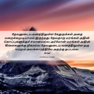 Picture 06 - எசேக்கியேல் 31:8 TAMIRV - தேவனுடைய - Bible Verse Picture