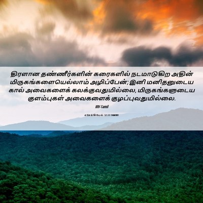 Picture 06 - எசேக்கியேல் 32:13 TAMIRV - திரளான - Bible Verse Picture