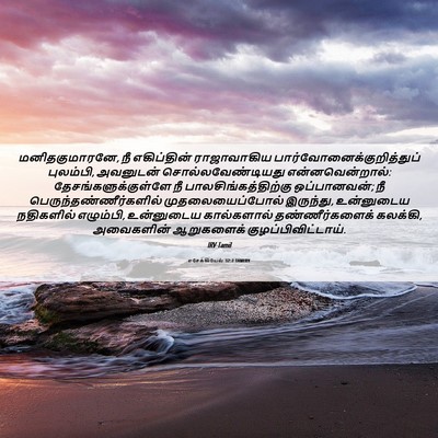 Picture 06 - எசேக்கியேல் 32:2 TAMIRV - மனிதகுமாரனே, நீ - Bible Verse Picture