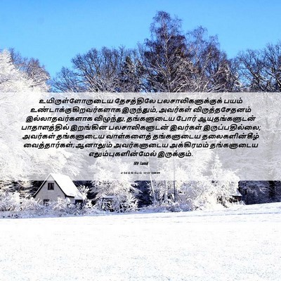 Picture 06 - எசேக்கியேல் 32:27 TAMIRV - உயிருள்ளோருடைய - Bible Verse Picture