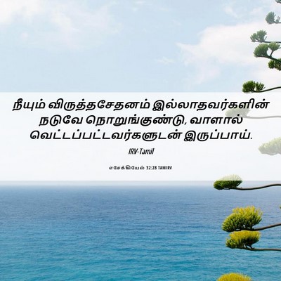 Picture 06 - எசேக்கியேல் 32:28 TAMIRV - நீயும் - Bible Verse Picture