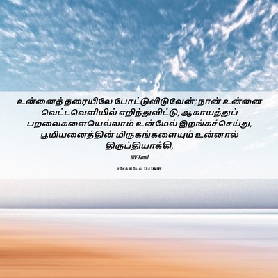 Picture 06 - எசேக்கியேல் 32:4 TAMIRV - உன்னைத் தரையிலே - Bible Verse Picture