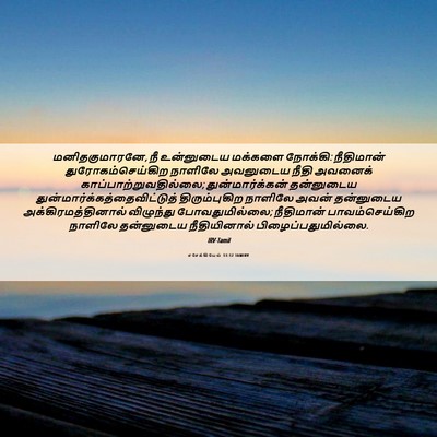 Picture 06 - எசேக்கியேல் 33:12 TAMIRV - மனிதகுமாரனே, நீ - Bible Verse Picture