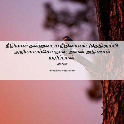 Picture 06 - எசேக்கியேல் 33:18 TAMIRV - நீதிமான் தன்னுடைய - Bible Verse Picture