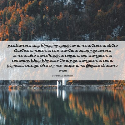 Picture 06 - எசேக்கியேல் 33:22 TAMIRV - தப்பினவன் - Bible Verse Picture