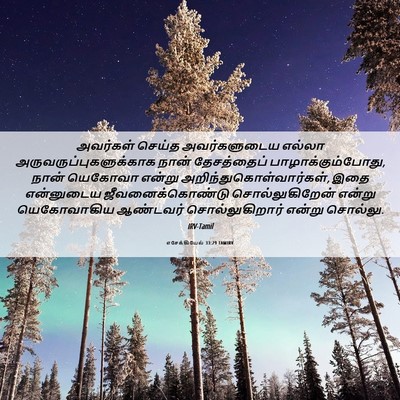 Picture 06 - எசேக்கியேல் 33:29 TAMIRV - அவர்கள் செய்த - Bible Verse Picture