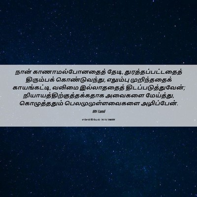 Picture 06 - எசேக்கியேல் 34:16 TAMIRV - நான் - Bible Verse Picture