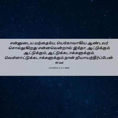 Picture 06 - எசேக்கியேல் 34:17 TAMIRV - என்னுடைய மந்தையே, - Bible Verse Picture