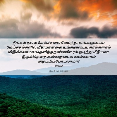 Picture 06 - எசேக்கியேல் 34:18 TAMIRV - நீங்கள் நல்ல - Bible Verse Picture